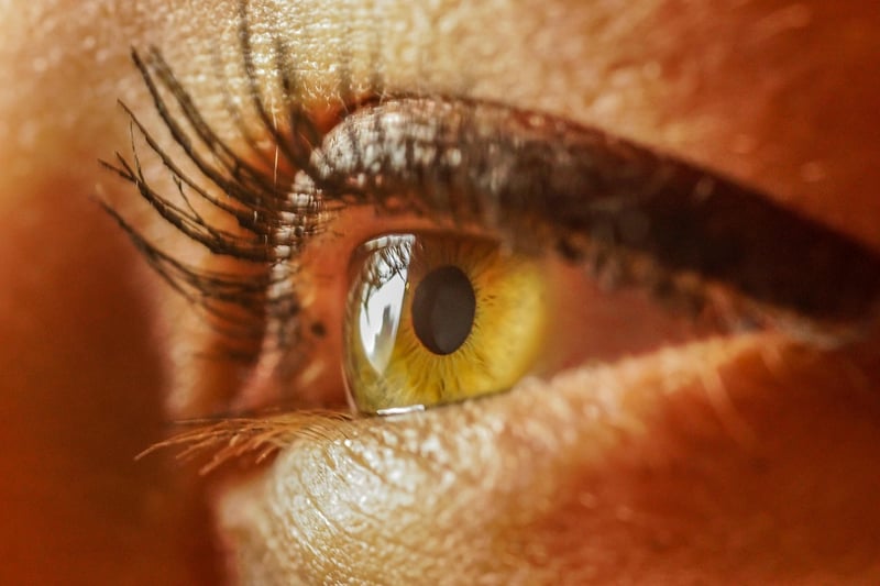 Venus Vision